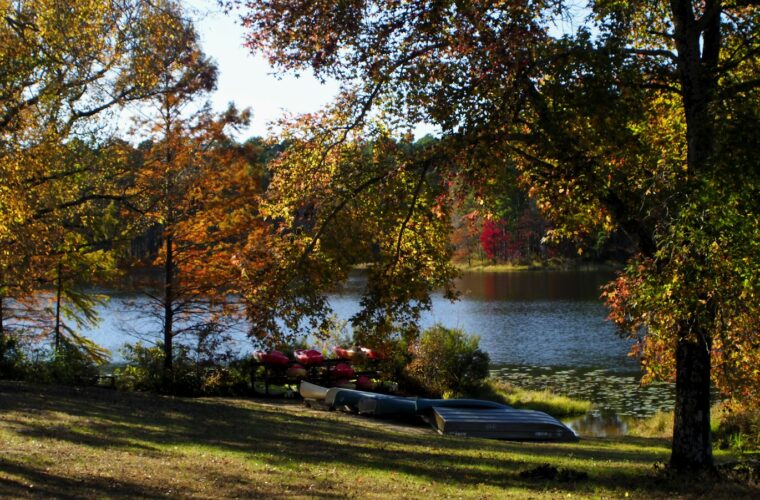 Vakantiehuisjes op een park in de herfst