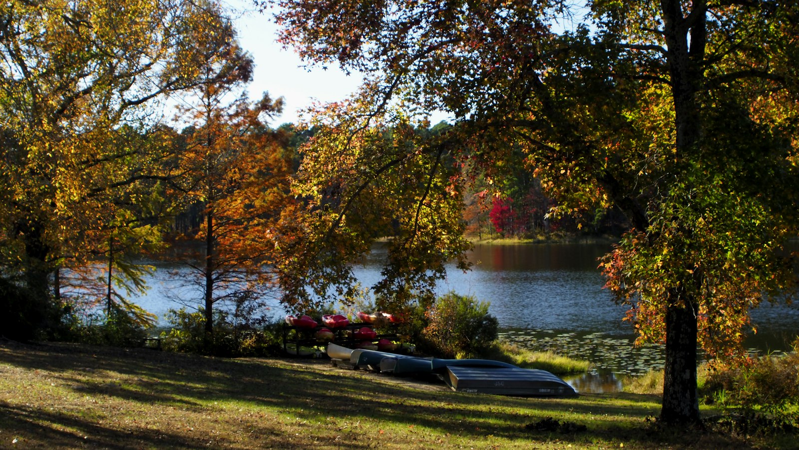 Vakantiehuisjes op een park in de herfst